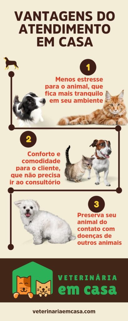 Quem Somos Veterinária Em Casa 