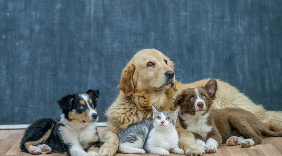 Imagem Novembro Azul_25